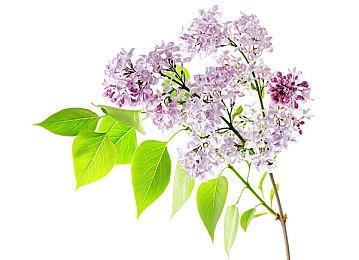 《星刃》新主视觉图 女主穿紧身战衣秀曼妙身材